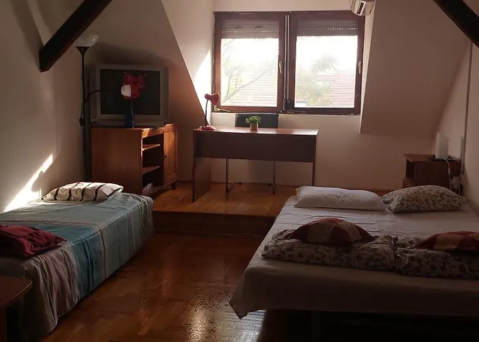 Hakuna Matata - In - Near Buda Castle, Parliament&margaret Island Alloggio in famiglia